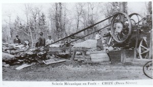 scierie mécanique en forêt de Chizé